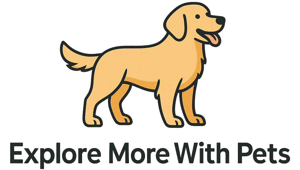 Explore More With Pets